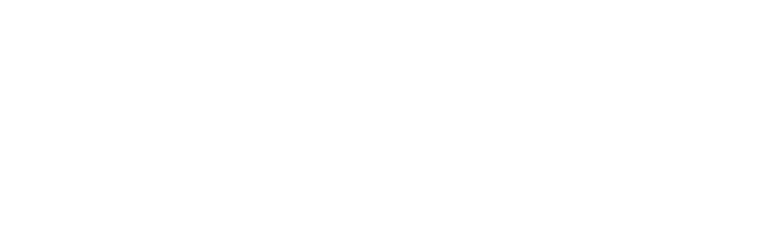 Enelion — ECHARGE technology and network partner
